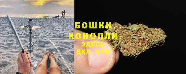 ГАЛЛЮЦИНОГЕННЫЕ ГРИБЫ Абаза