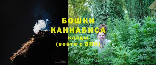 ГАЛЛЮЦИНОГЕННЫЕ ГРИБЫ Абаза