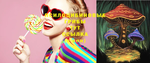 хмурый Алексин