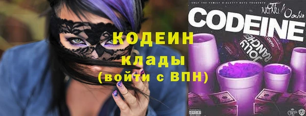 ГАЛЛЮЦИНОГЕННЫЕ ГРИБЫ Абаза