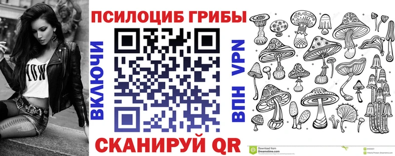 сколько стоит  Бобров  Галлюциногенные грибы Cubensis 